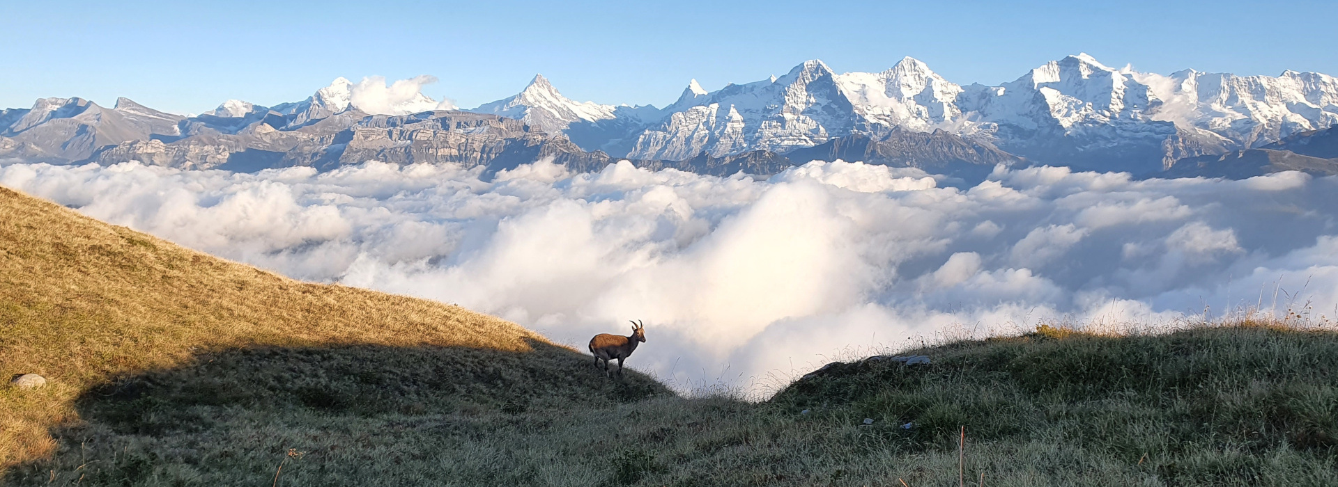 Arztpraxis in Gunten am Thunersee